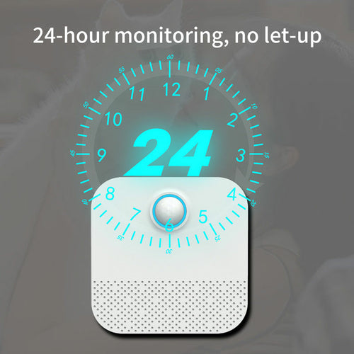 David R., Florida review photo